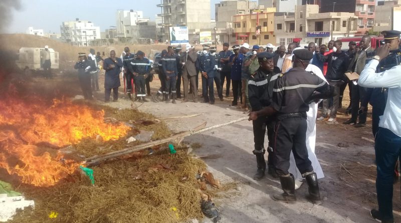 Sénégal : incinération de plus de 4500 Kg de drogue